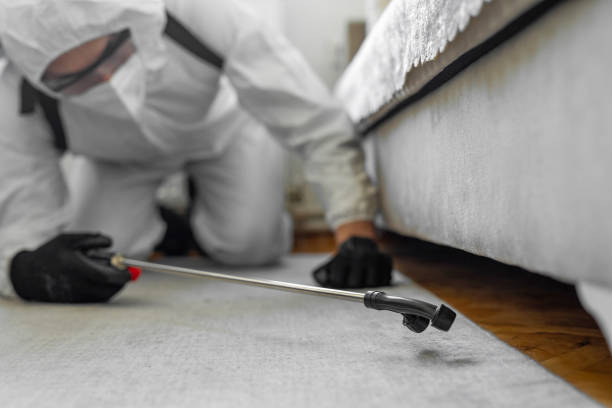 Professional Ant Control technician working in Needville, TX