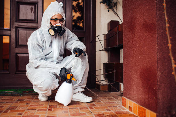 Reliable Ant Control contractor in Needville, TX by Show Me Pest Control